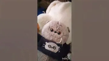 мои мягкие игрушки