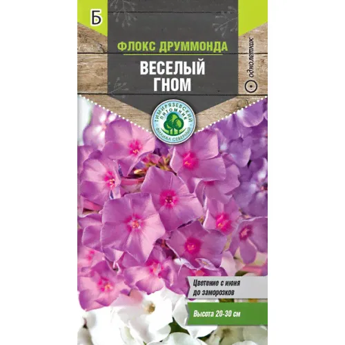 Флокс Веселый гном