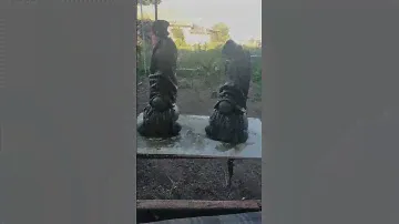 садовые гномы своими руками