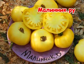 Томат гном "ЛЕТНЕЕ ЗОЛОТО"