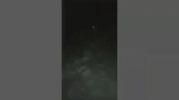 Китайский садовый фонарь