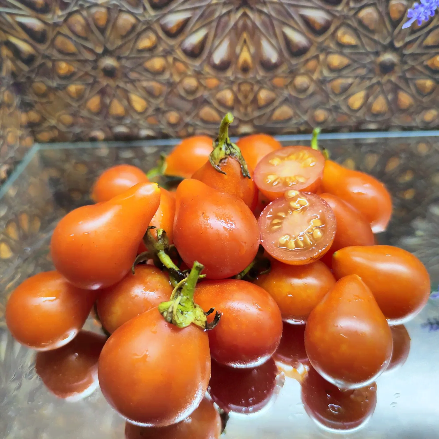 Томат Гном Румынский Мультифлора, Dwarf Romanian Multiflora red