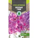 Флокс Веселый гном