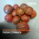 Семена Томат Гном Стринги(Полосатые)(Шоколадные)