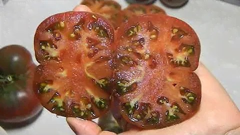 Томат Wild Spudleaf гном. Тест зрелых плодов.