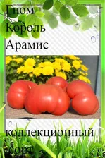 Семена томата Гном Король Арамис