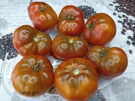 Семена томат «Гном Король Арамис», 10 семян